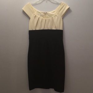 Professional Business Style Dress